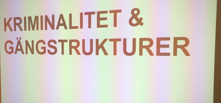 Kriminalitet och gängstrukturer